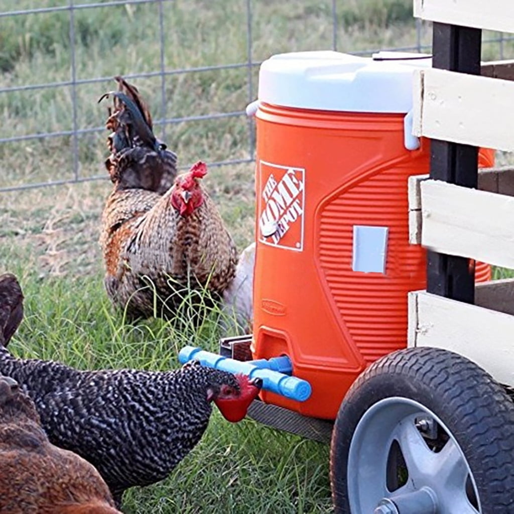Feed Automatic Bird Coop Poultry Chicken Fowl Drinker Water Drinking Cups 24Pcs